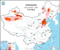 文章圖片