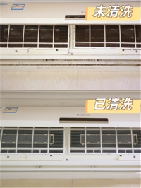 文章圖片