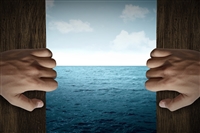 积极融入国补大潮，但不限于此