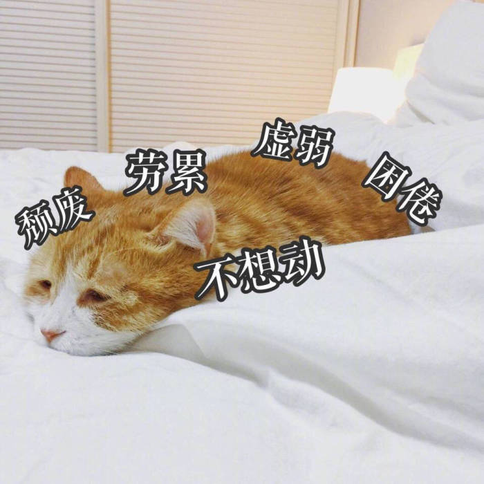 年轻人必须要看的一条推送,关于教你怎么正确吃饭